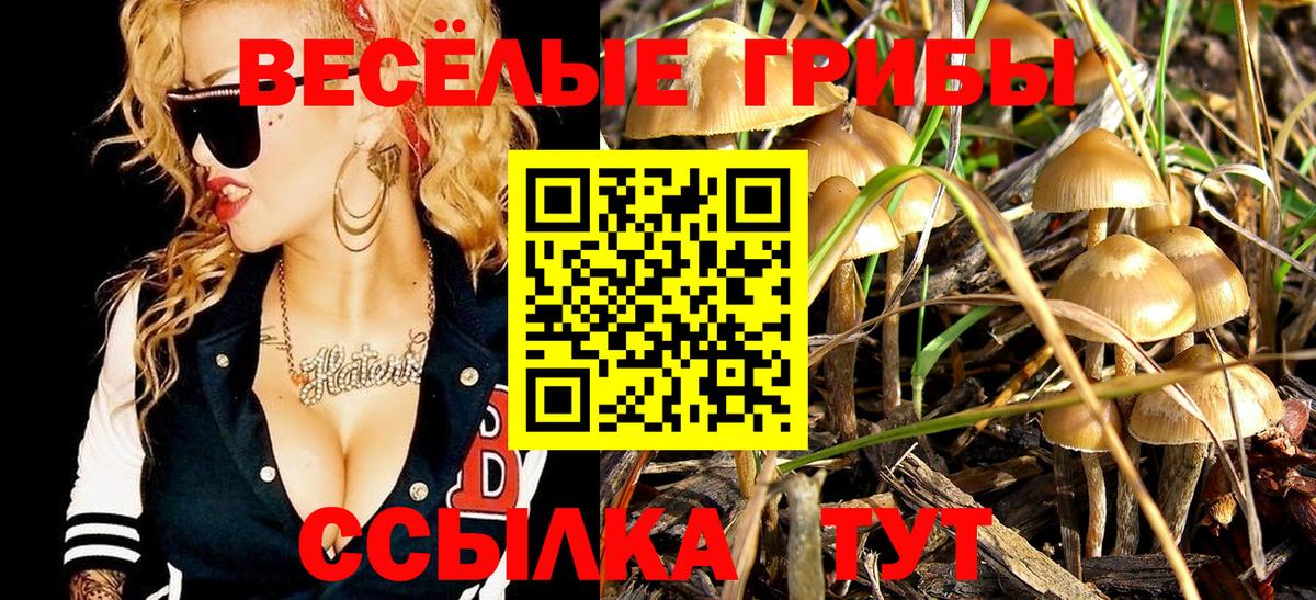 Галлюциногенные грибы прущие грибы  Вход с VPN  Озёрск 